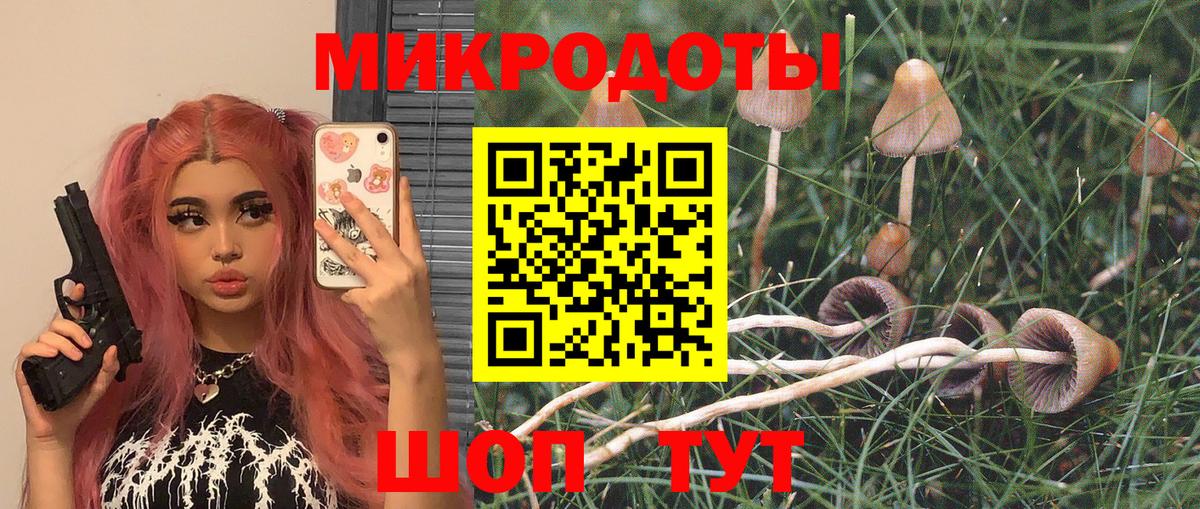 Псилоцибиновые грибы мухоморы  Галлюциногенные грибы Psilocybe  Камень-на-Оби  Вход с VPN 