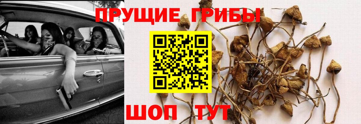 Галлюциногенные грибы ЛСД Камень-на-Оби
